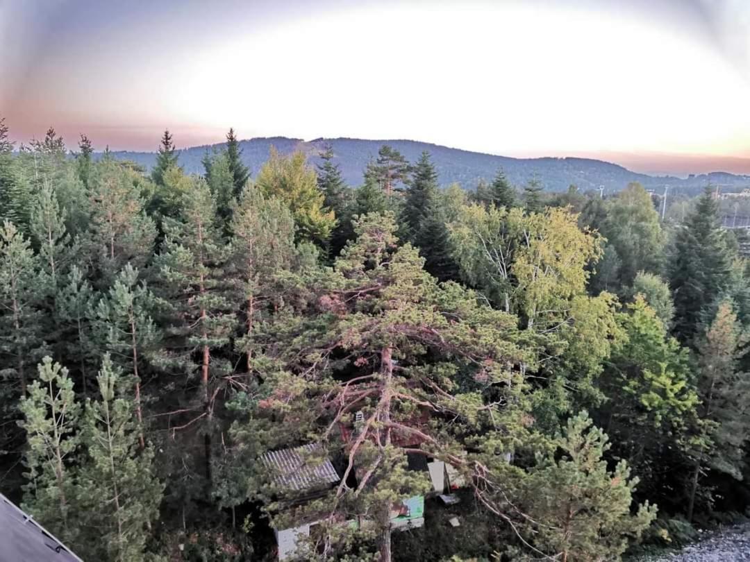 Divcibare Planinski Mir A19 Exterior foto